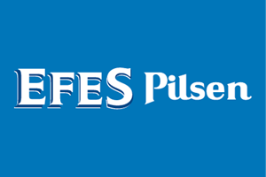 efes pilsen global offers sap fico, sap roll out projects , fi rollout , hana projects , sap rollout projects , sap fico projects , global rollout projects