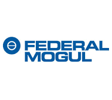 federal mogul globaloffers sap fico, sap roll out projects , fi rollout , hana projects , sap rollout projects , sap fico projects , global rollout projects