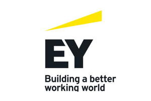 ey, ernst and young, ernst & young, sap fico, sap roll out projects , fi rollout , hana projects , sap rollout projects , sap fico projects , global rollout projects , sap ufrs turkiye , sap ifrs turkiye , sap danismanlik , sap consulting, sap enflasyon, sap enflasyon muhasebesi, sap inflation, sap mm, sap co, sap sd, sap abap
